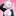 最近飼っている子に困ってます…