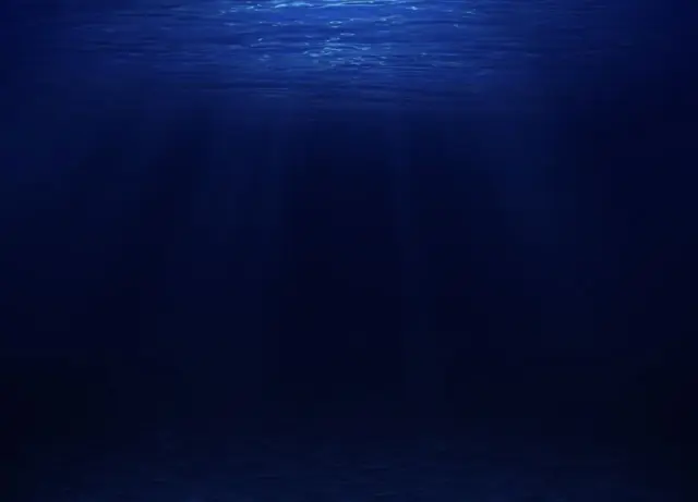 Profile image of 謎の海