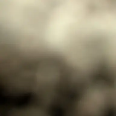 Profile image of デホ