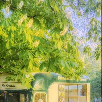 Profile image of 공경사