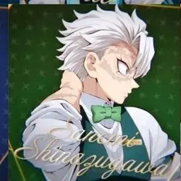 Profile image of 시나즈가와 사네미