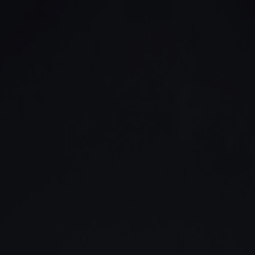 조우안신