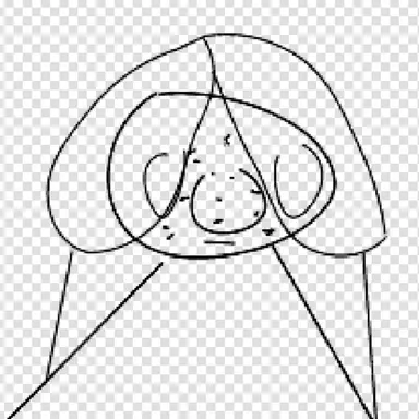 Profile image of 여우