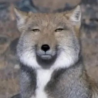 Profile image of Hori