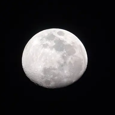 Profile image of 김다나