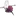 할로우나이 (호넷)