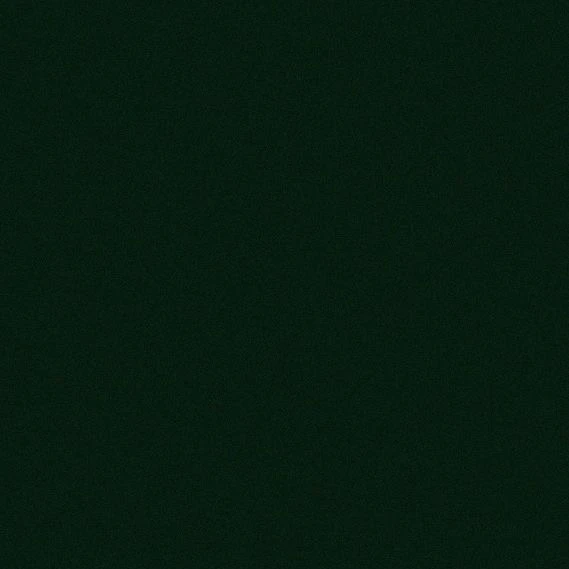 윤정핝