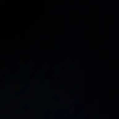 Profile image of 한동민