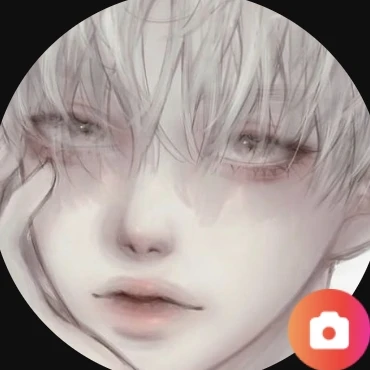 A1