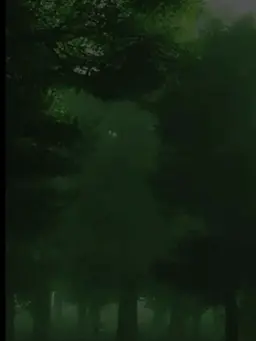 ColdWinterwoods의 Hauntings