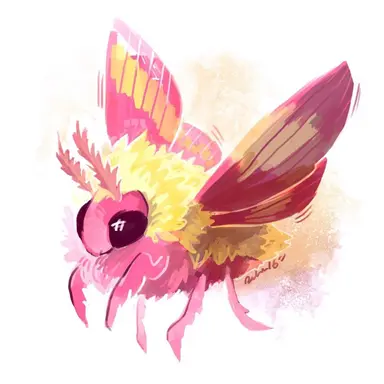 Profile image of Nova