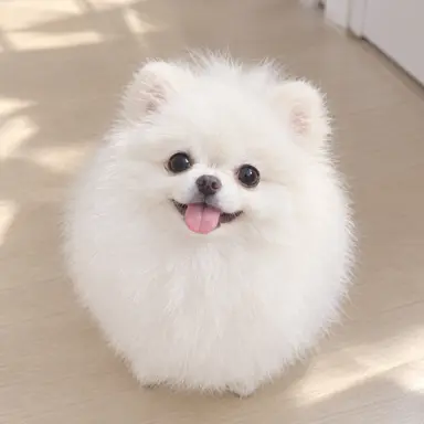 Profile image of 미루