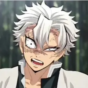 Profile image of 시나즈가와 사네미