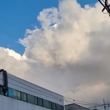 Profile image of 1-A