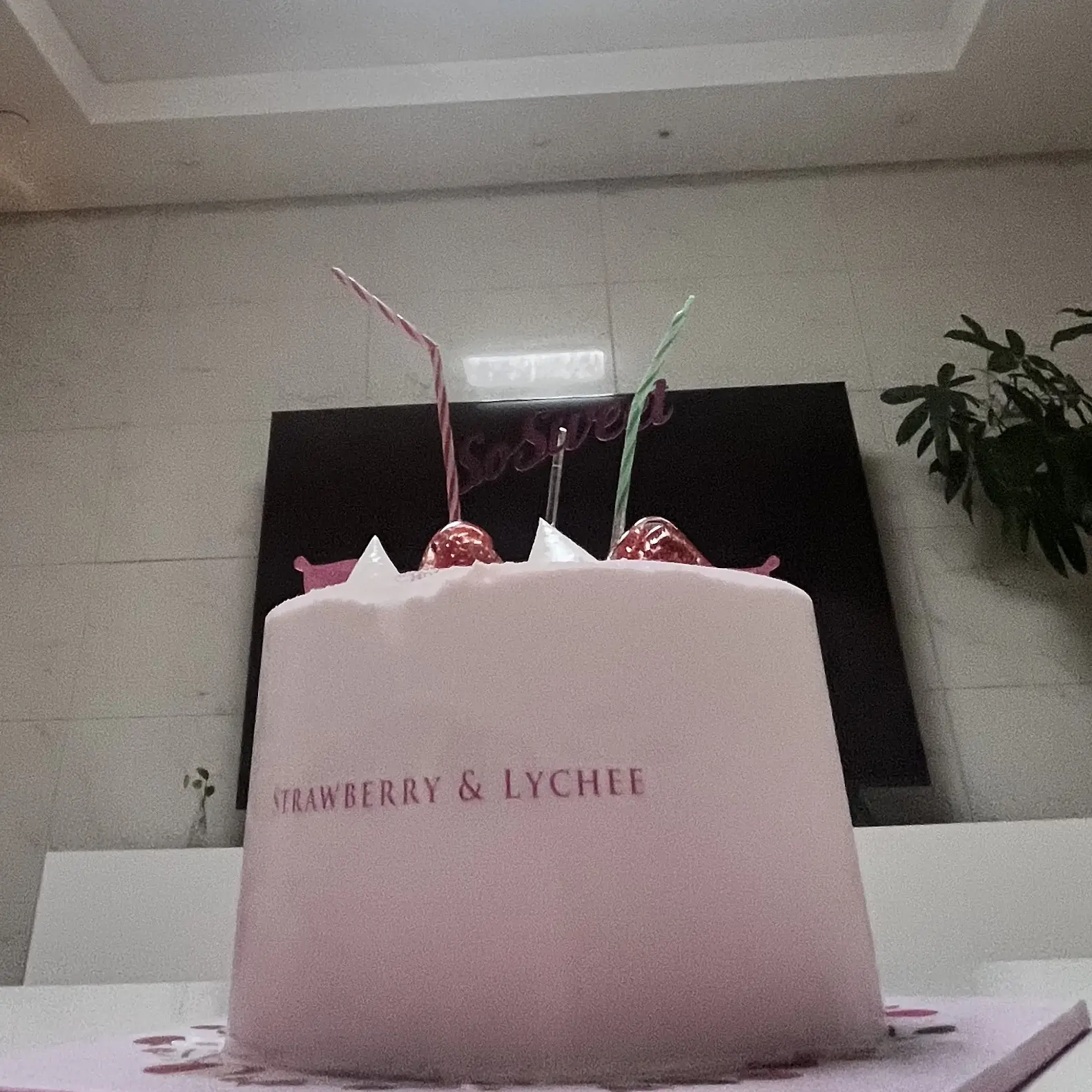 Hanbeoyl의 남자애들의 침투(?)