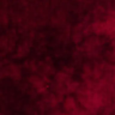 Profile image of 葛葉