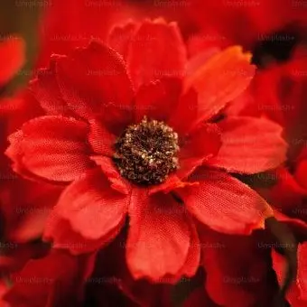 Profile image of 서라더