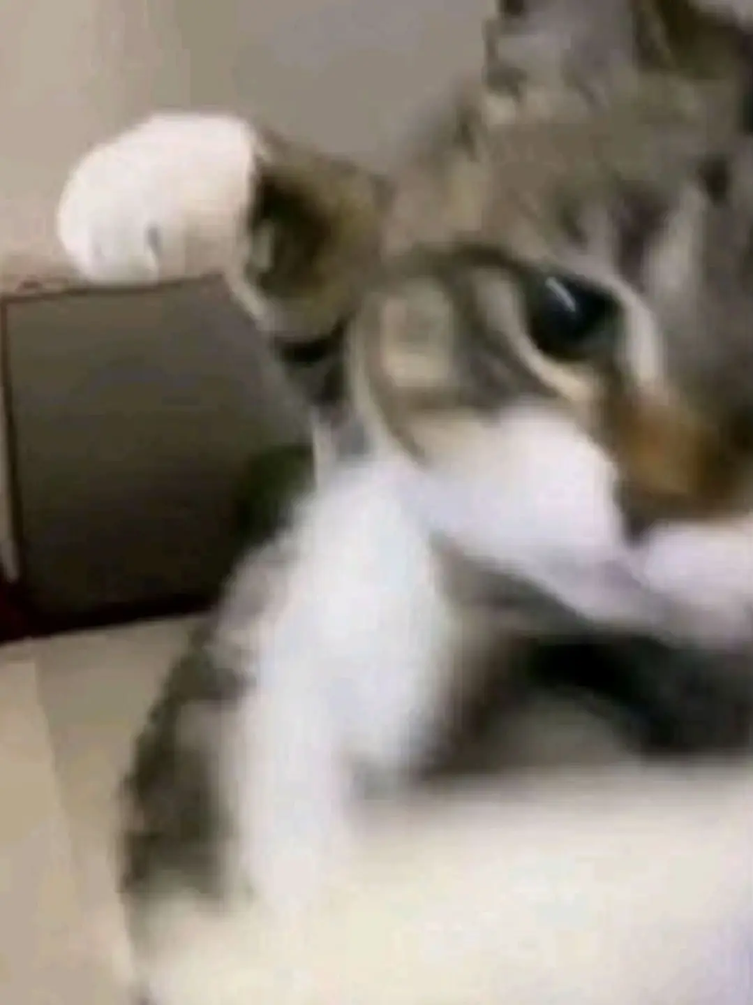 Pirikaramasimasi의 病んで壊れた国の化身たち
