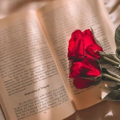 Profile image of アーサー