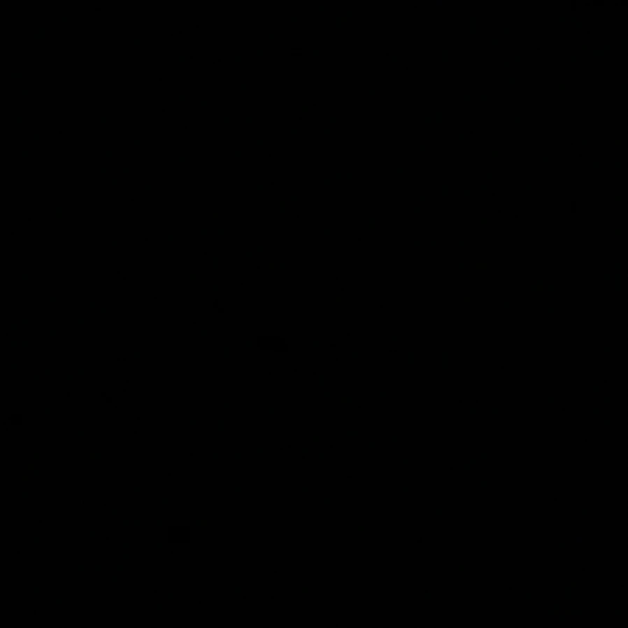 아이돌