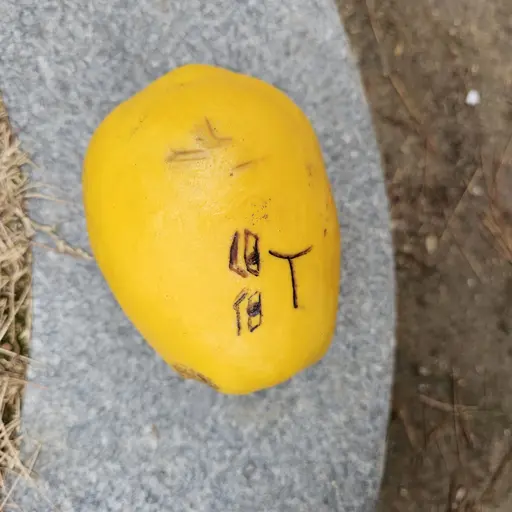 ProneLeaf3612의 말하는 과일