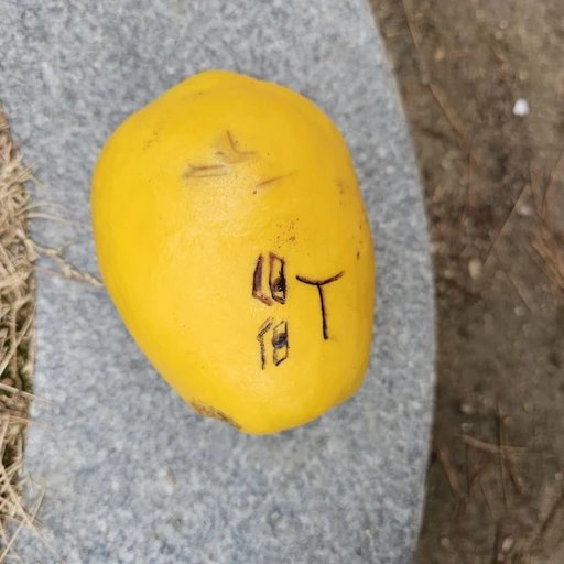 말하는 과일