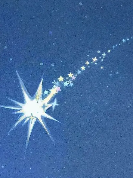 8C4664의 涙なめなめ！