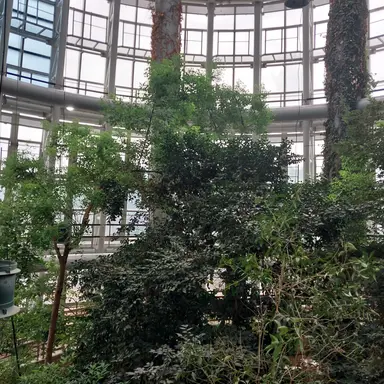 Profile image of 여우