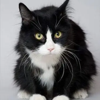 Profile image of 구름이