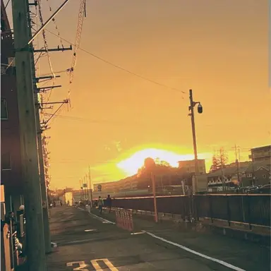 Profile image of 向井 康二