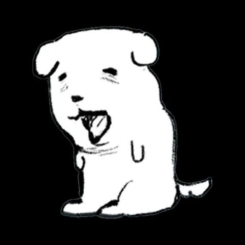 아이돌 대표 이미지