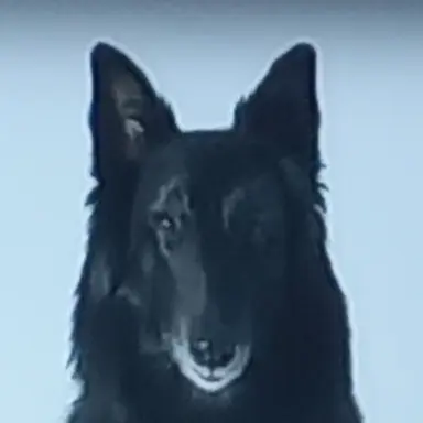 Profile image of 루스
