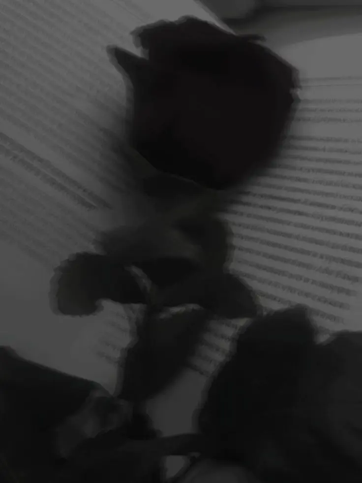 NWR의 흑장미