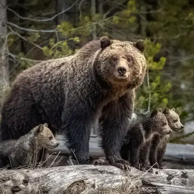 Profile image of 5번 팀