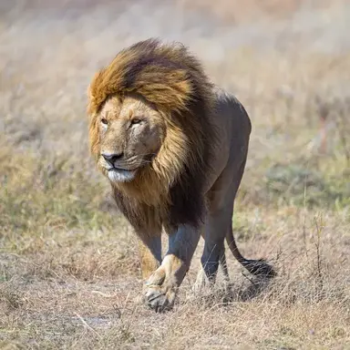 Profile image of 4번 팀