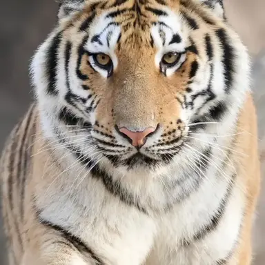 Profile image of 3번 팀