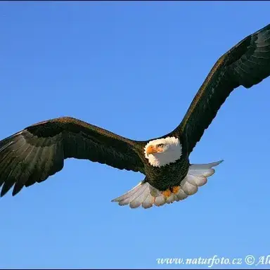 Profile image of 1번 팀