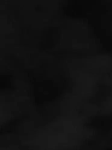 bobu_s2의 IRREGULAR