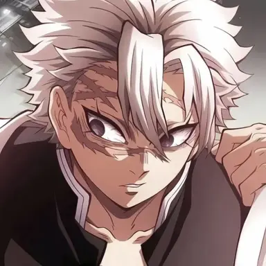 Profile image of Sanemi Shinazugawa