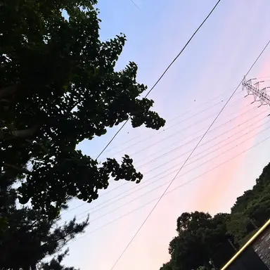 Profile image of 노무라 후도