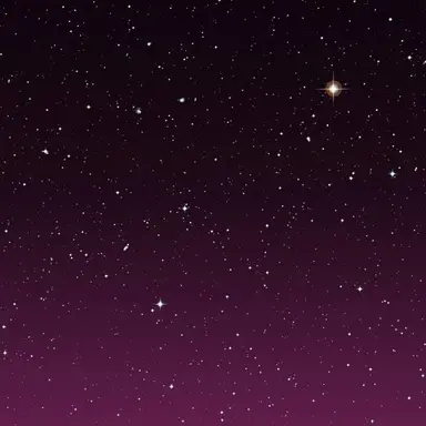 Profile image of 深澤辰哉