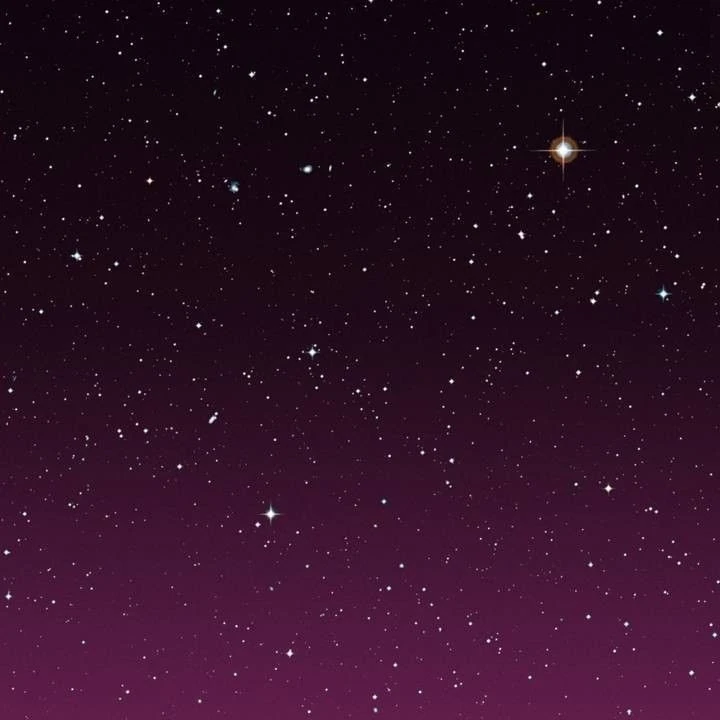 深澤辰哉