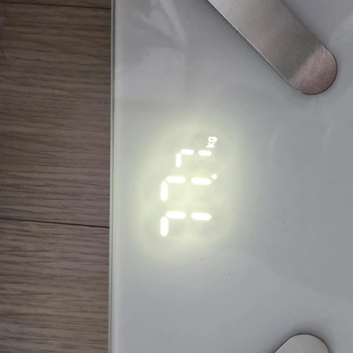 뚱뚱한 왕따 뚱자