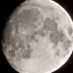 Profile image of 해설자