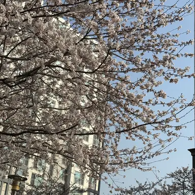 Profile image of 한서윤