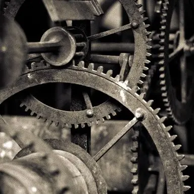 Profile image of 타입