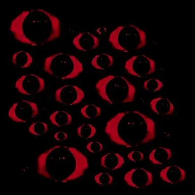 Profile image of 쿠무