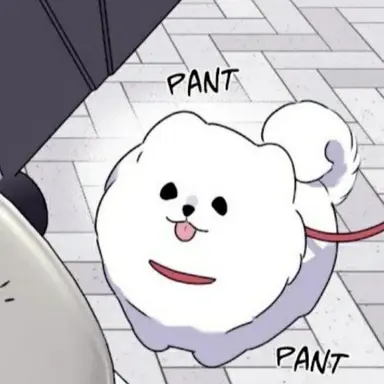 Profile image of 꼬미