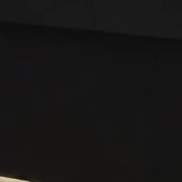 현진