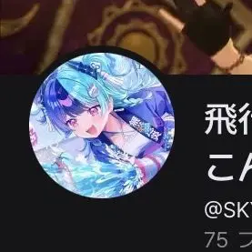 Profile image of 飛行機が好きな
